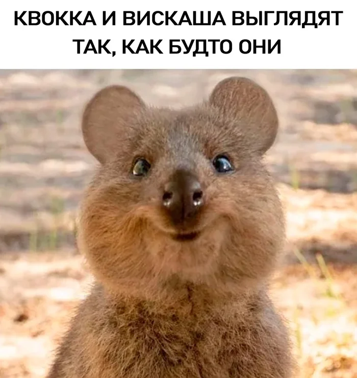 Счастье бывает разное