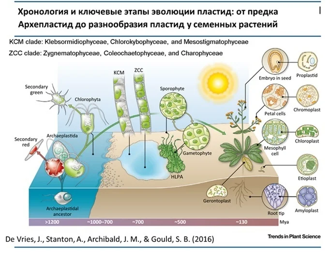 Внеземной разум на горизонте: учёные предложили новую модель эволюции планет