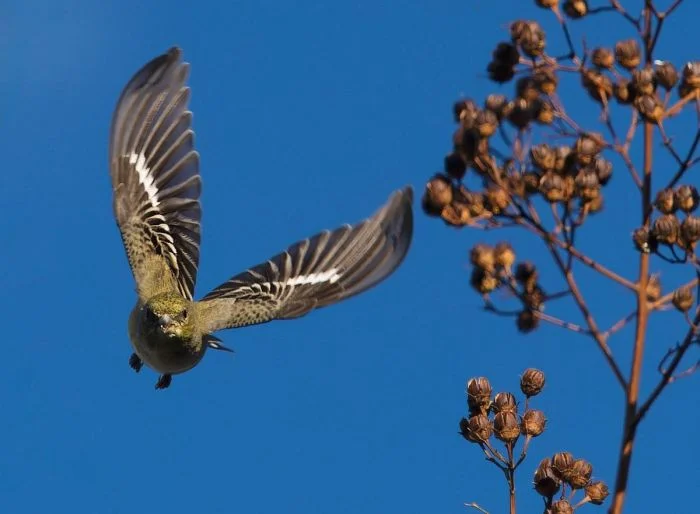 Подборка картинок на общую тему