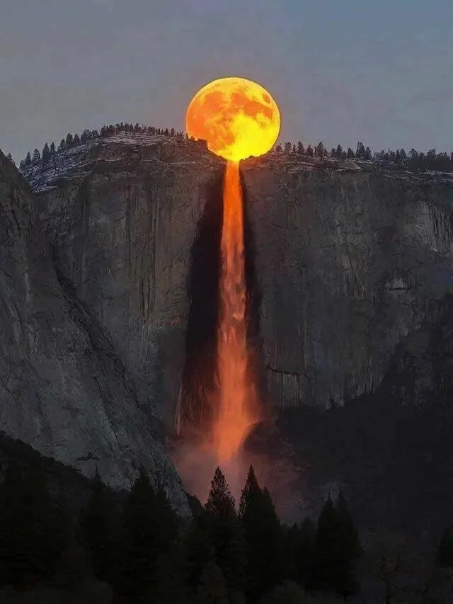 Взбалталось и намешалось