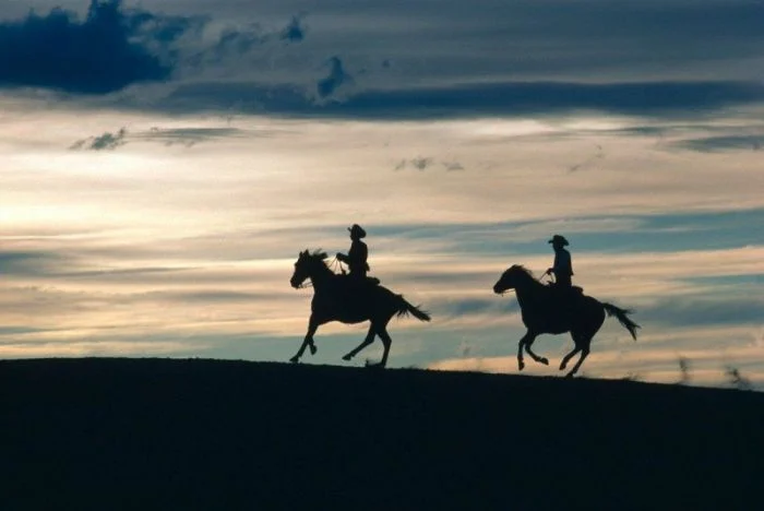 Подъехало всё вразнобой