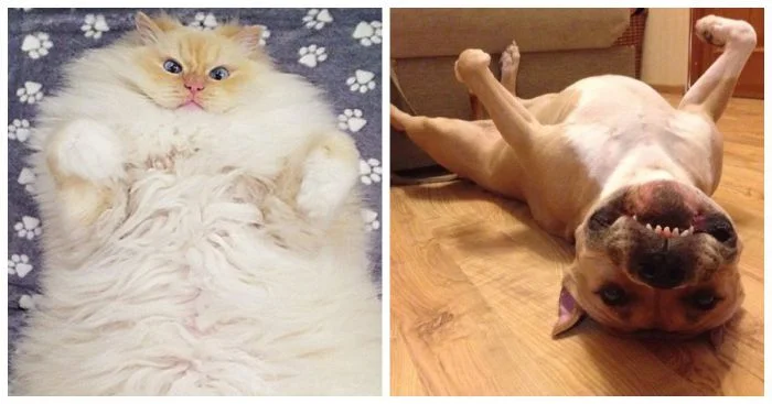 20 забавных персонажей, буквально заверченных повседневными заботами