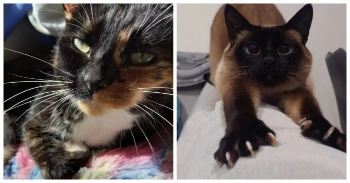 20 великих умов, чьи образы вдохновляют и завораживают