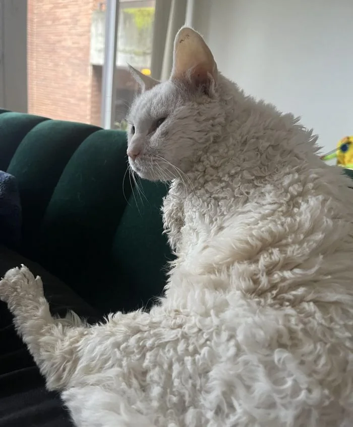 20 великих умов, чьи образы вдохновляют и завораживают