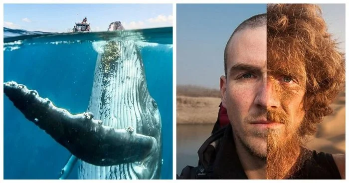 20 наглядных сравнений, меняющих привычный взгляд на вещи