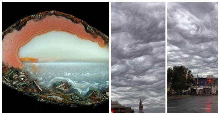 18 обычных снимков, которые выглядят как настоящие картины