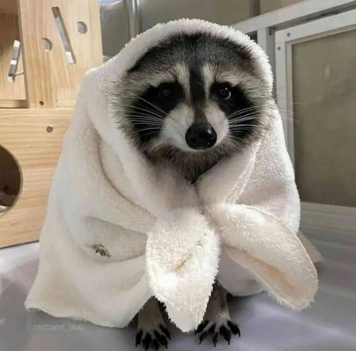 Картинки обо всем