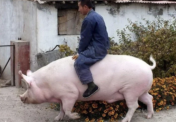 Снова намешалось