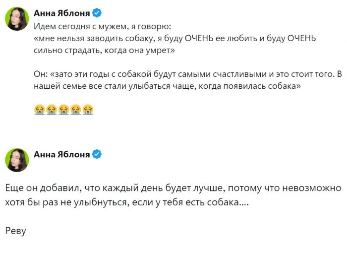 Дружба и прощание: что говорят владельцы о жизни с собакой