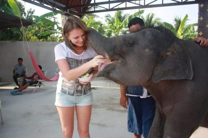 Подборка картинок на общую тему