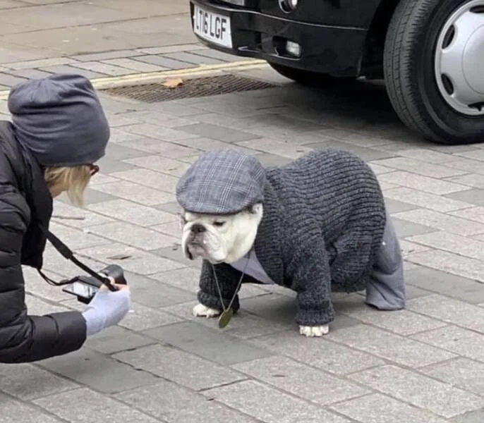 Намешалось: Красивые и интересные картинки