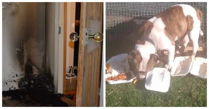 Когда всё против тебя: 23 примера неудачного дня