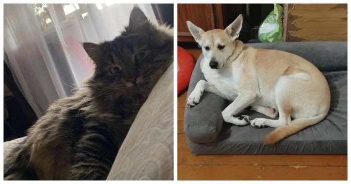 26 трогательных примеров того, как люди нашли своё счастье