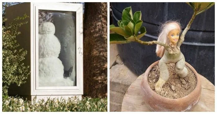 12 попыток сделать сад оригинальным, но что-то явно пошло не по плану