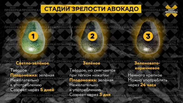 Как выбрать авокадо? Разбираем 5 стадий зрелости фрукта