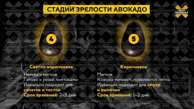 Как выбрать авокадо? Разбираем 5 стадий зрелости фрукта