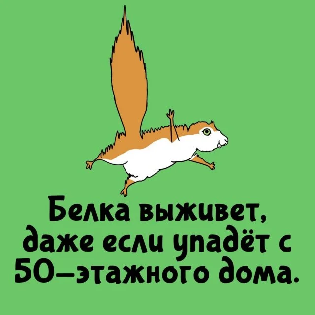 Любопытные факты, которые пригодятся в любой ситуации