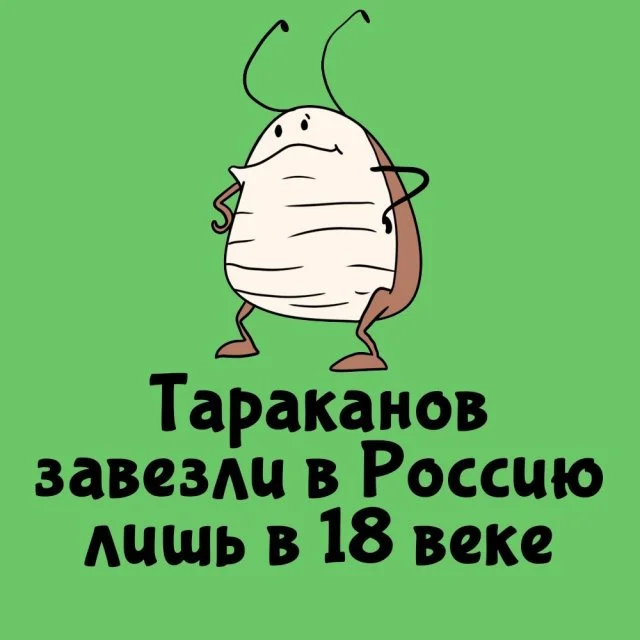 Любопытные факты