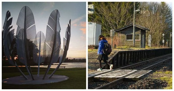 Позитив со всего мира: 12 интересных и добрых фактов