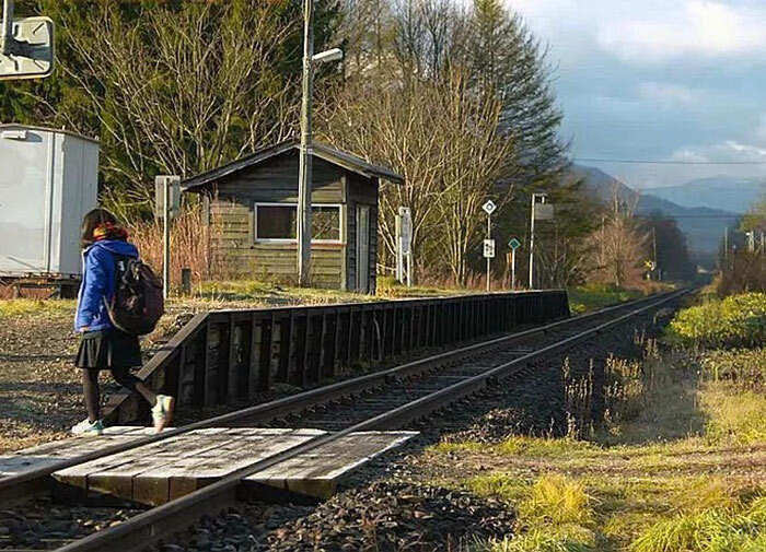 Позитив со всего мира: 12 интересных и добрых фактов