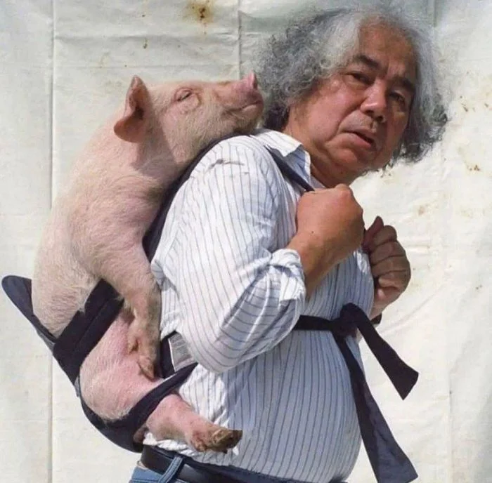 Картинки на общую тему