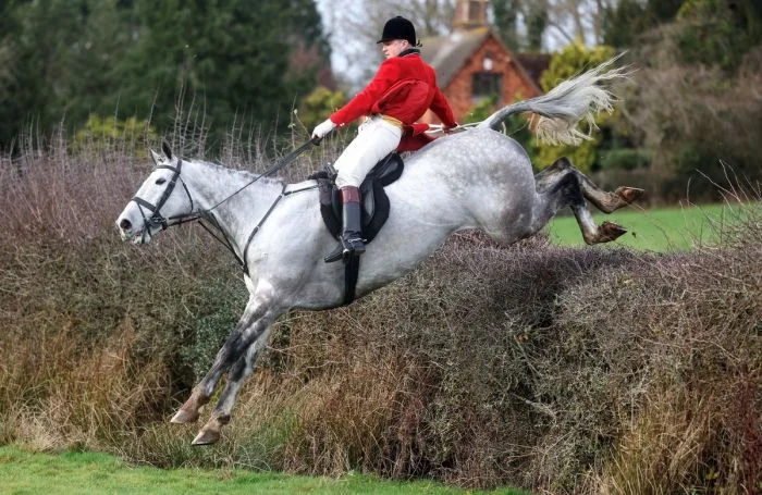 Подборка картинок на общую тему