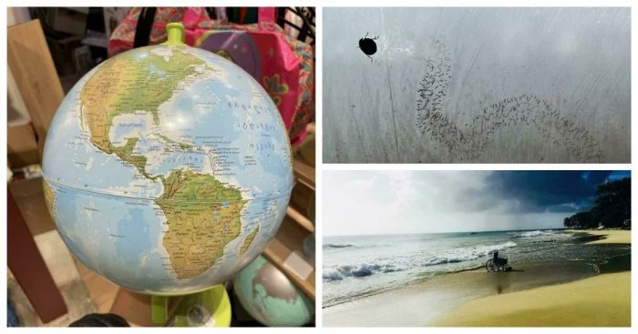 Подборка из 30 удивительных снимков обо всём и сразу