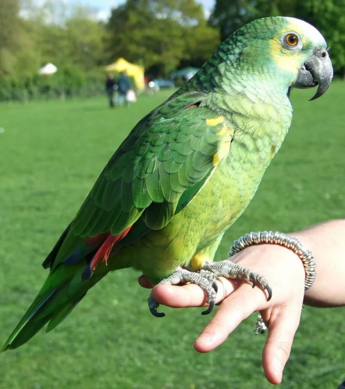 На общую тему