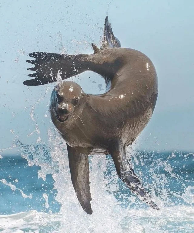 Намешалось: Красивые и интересные картинки