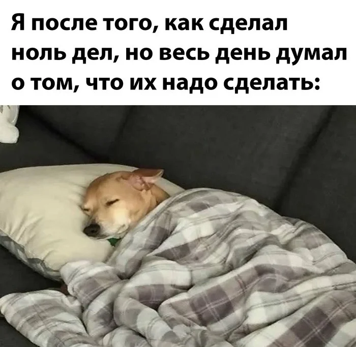 Вот такие скрины из соцсетей