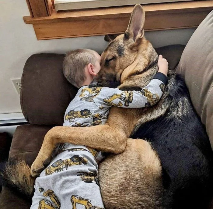 23+ пушистых комочка радости, которые растопят любое хмурое утро