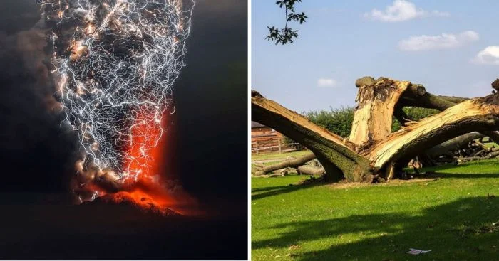 Великолепие и ужас в одном кадре: 15 снимков молний