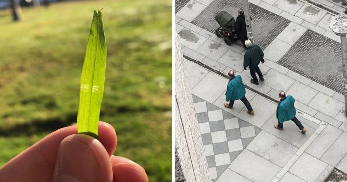 Когда реальность даёт сбой: 17 странных совпадений