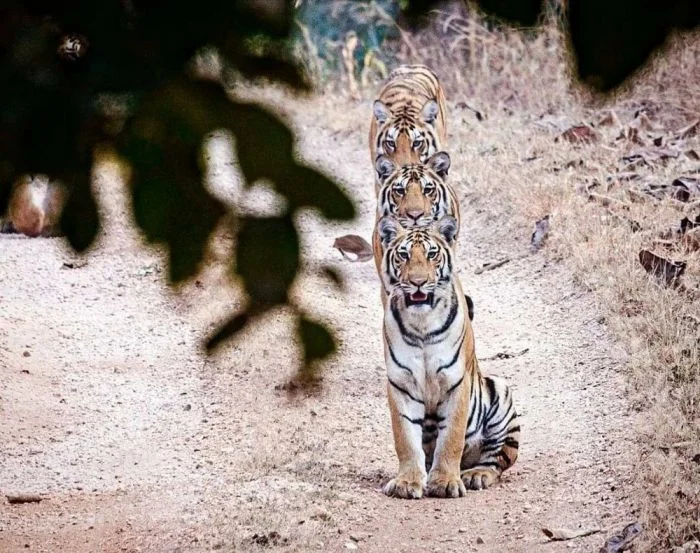 Подборка картинок на общую тему
