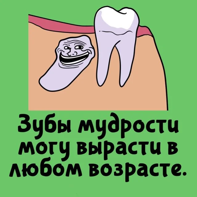 Любопытные факты