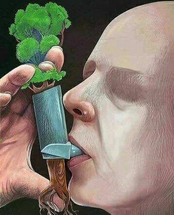 Когда одно изображение стоит тысячи слов