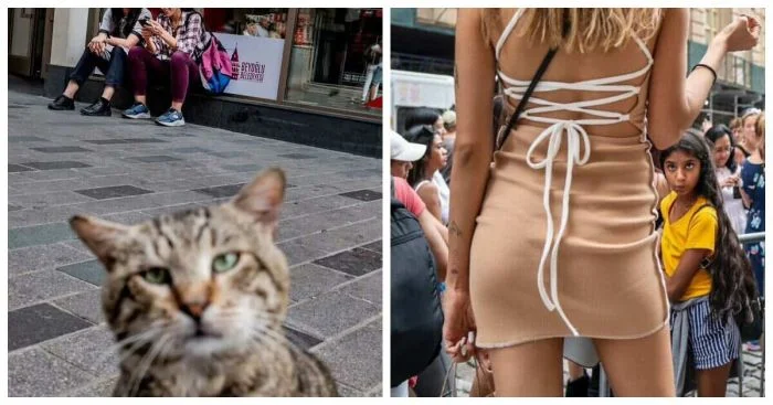 Забавные моменты из повседневности: 20 ярких фото