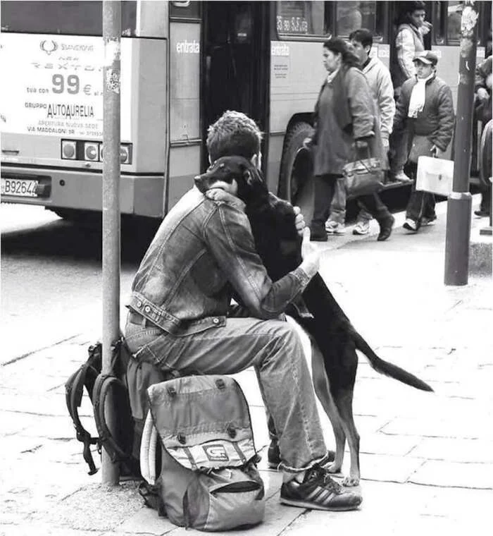 Забавные моменты из повседневности: 20 ярких фото