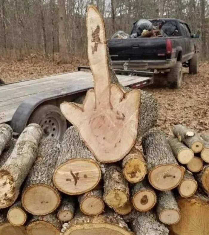 Абсурд в кадре: 20 изображений, смысл которых остаётся загадкой