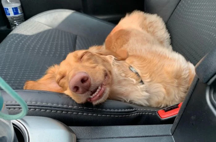 Подъехало всё вразнобой