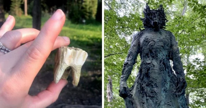19 жутковатых находок, обнаруженных людьми во время прогулок по лесу