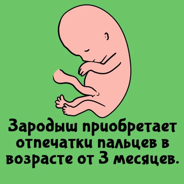 Подборка интересных фактов