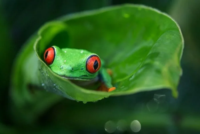 Подъехало всё вразнобой