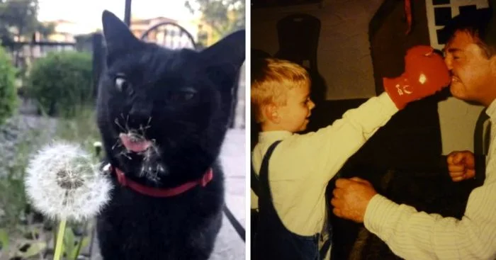 18 моментов, когда люди и животные осознали ошибку слишком поздно