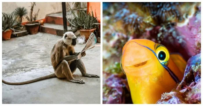 20 случаев, когда смех стал лучшим лекарством