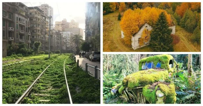 Когда природа возвращает своё: 35 впечатляющих случаев