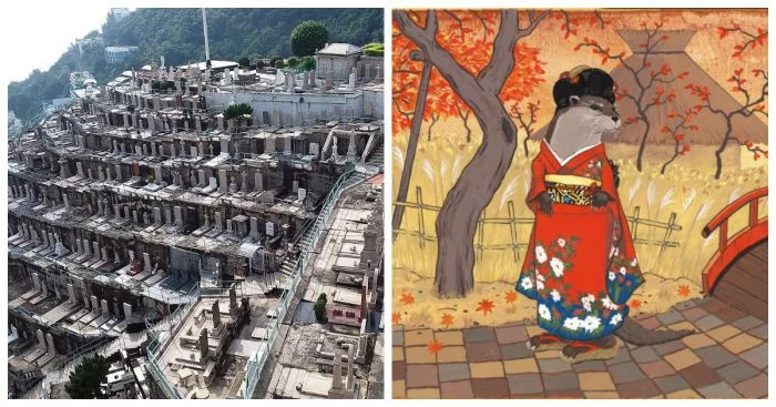 Неожиданное вокруг нас: 10 любопытных фактов о мире и людях