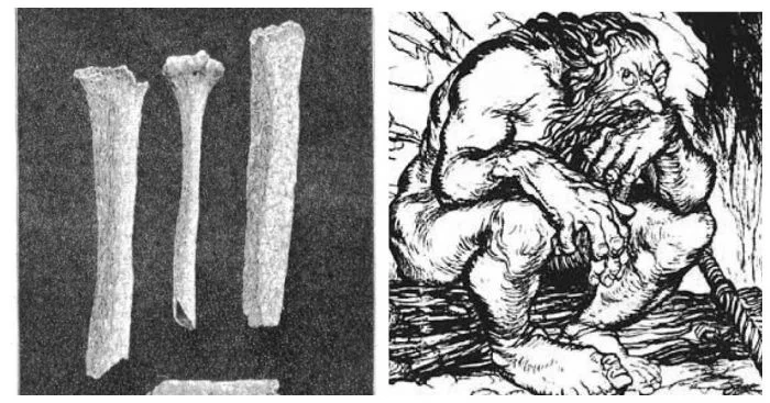 Тайна великана из Кастельно: мутация или наследие исчезнувшей расы?