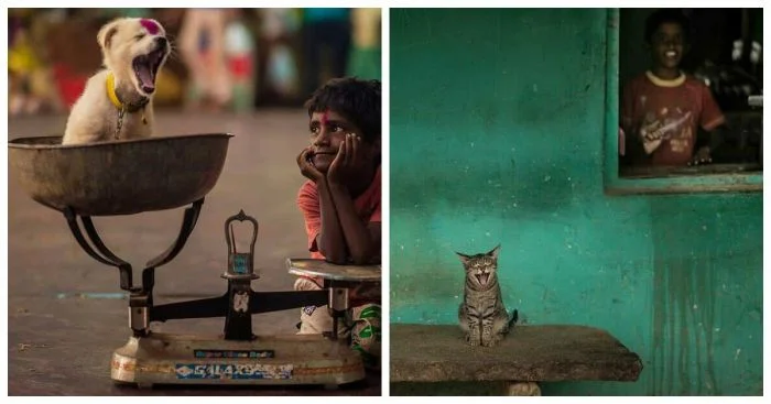 17 милых фото животных, способных поднять настроение