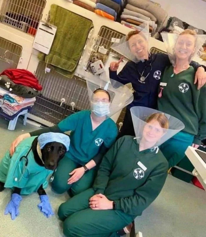 Подборка картинок на общую тему